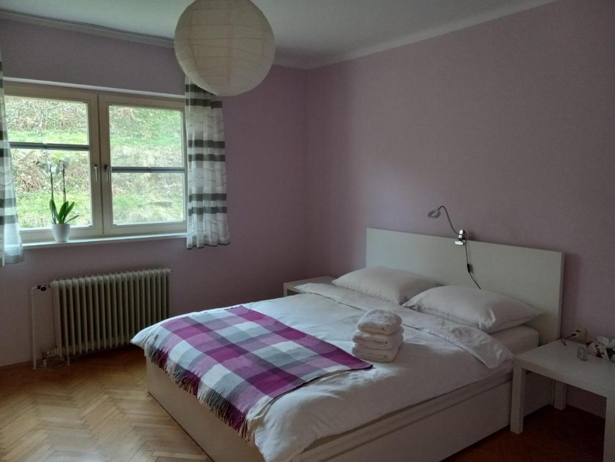 Lovely 2-Bedroom Appartment With Free Parking Dobrova Екстер'єр фото