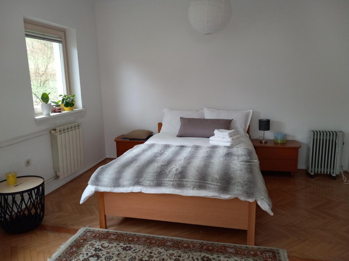 Lovely 2-Bedroom Appartment With Free Parking Dobrova Екстер'єр фото
